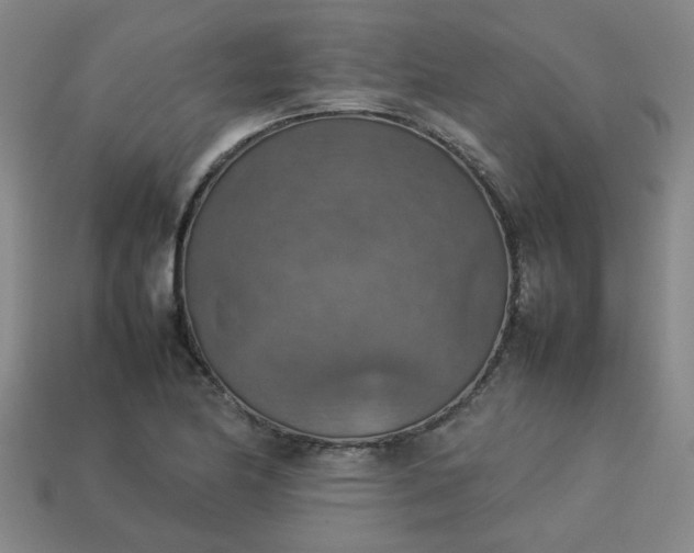 X0000113781174200910071218