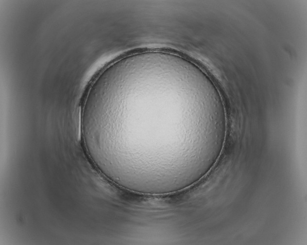 X0000113781175200910071218