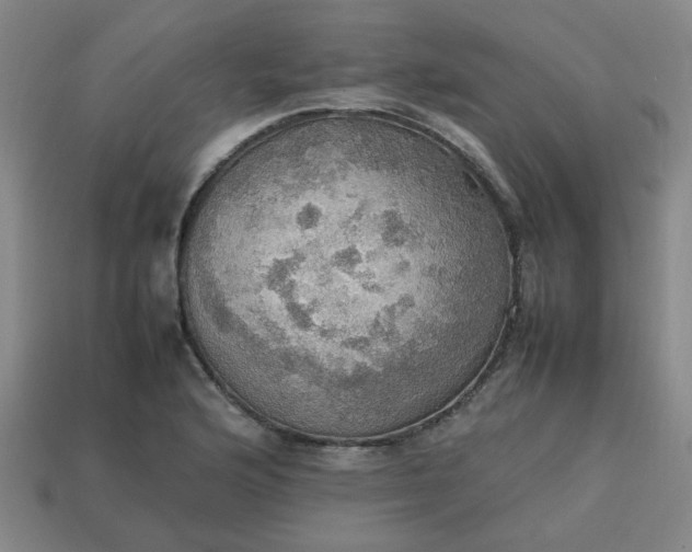 X0000113781176200910071218