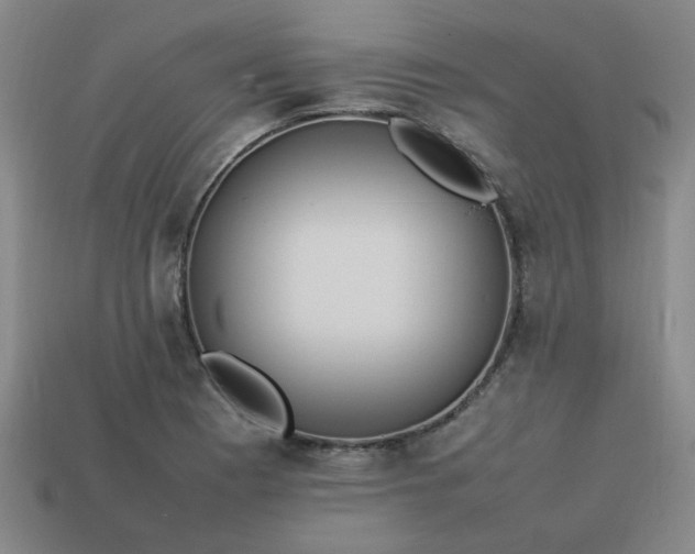 X0000113781177200910071218