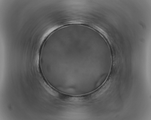 X0000113781179200910071217