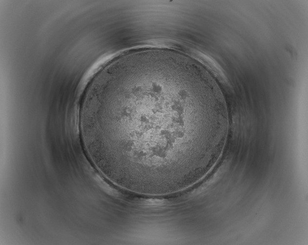 X0000113781180200910071217