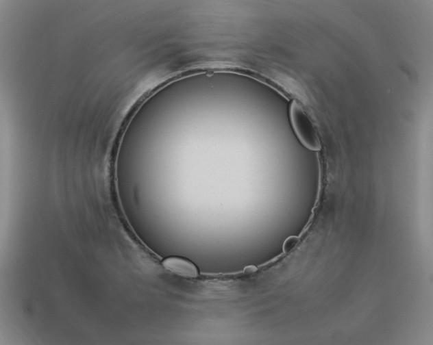 X0000113781181200910071217