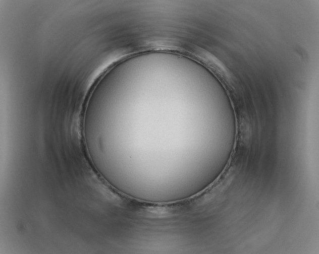 X0000113781182200910071217