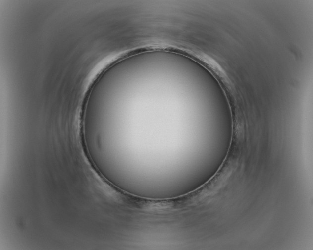 X0000113781183200910071217