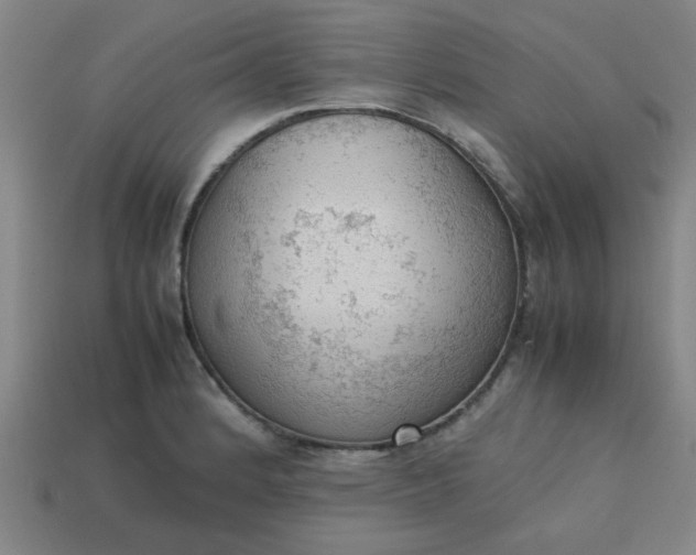 X0000113781184200910071217