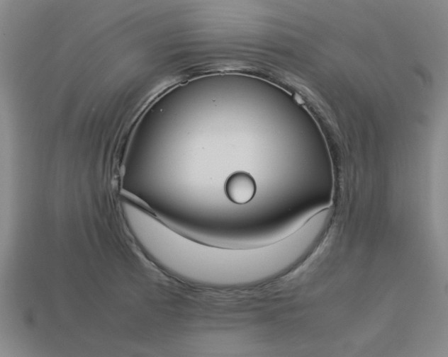 X0000113781185200910071217