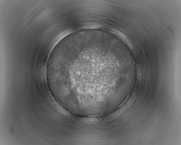 X0000113781186200910071217