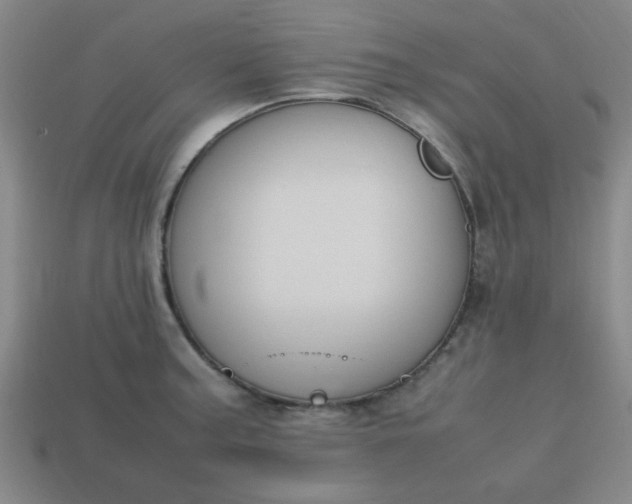 X0000113781187200910071217