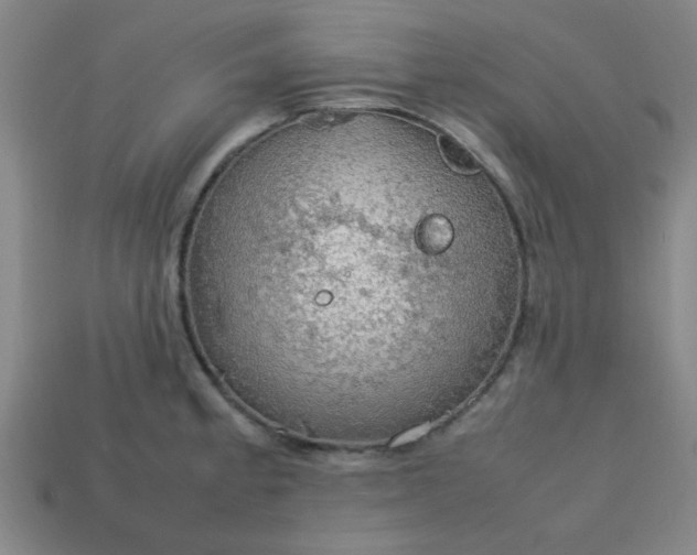 X0000113781189200910071217