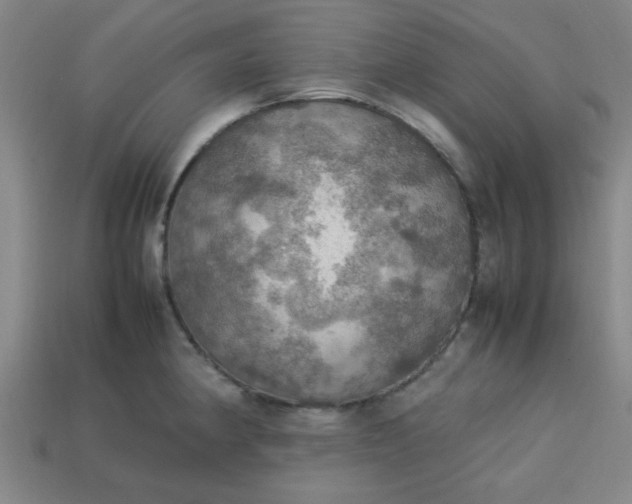 X0000113781190200910071217