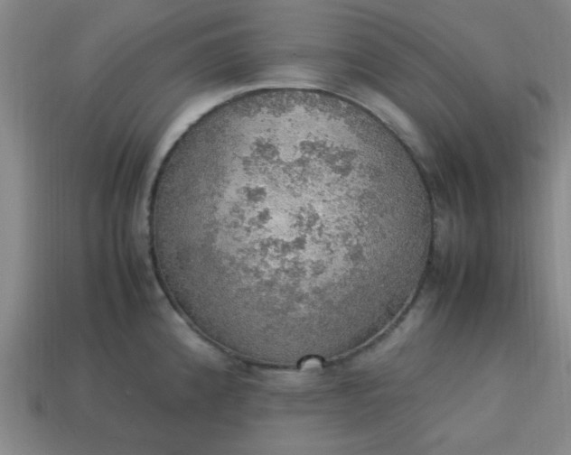 X0000113781192200910071217