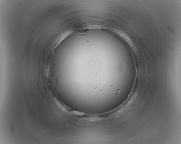 X0000113781193200910071217