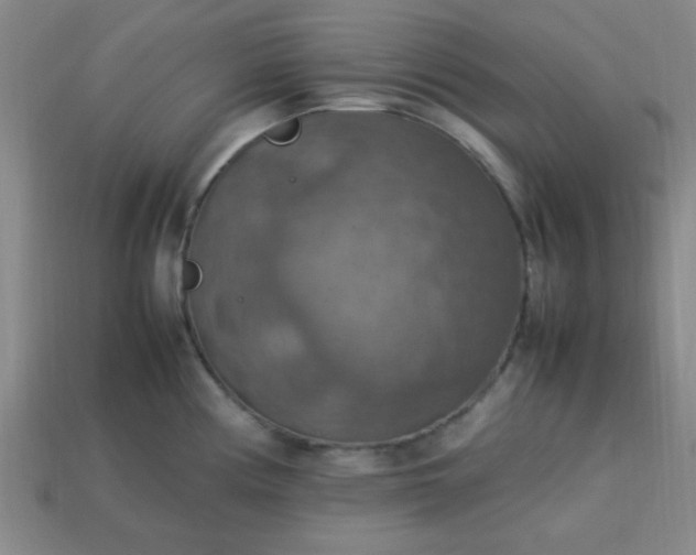 X0000113781194200910071217