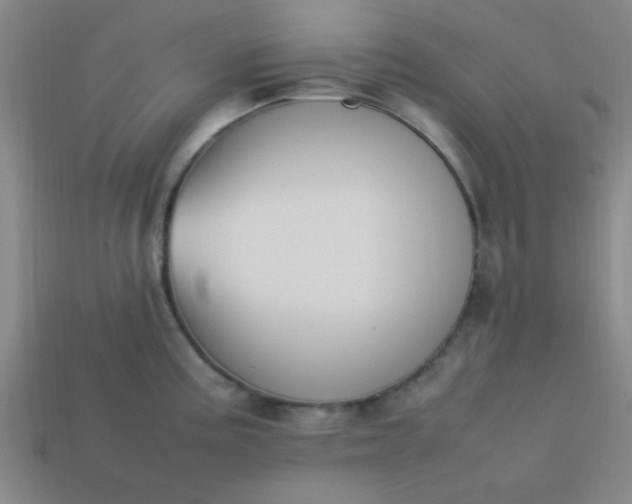 X0000113781195200910071217