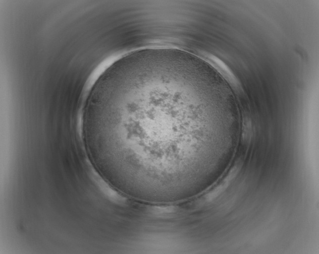 X0000113781196200910071217