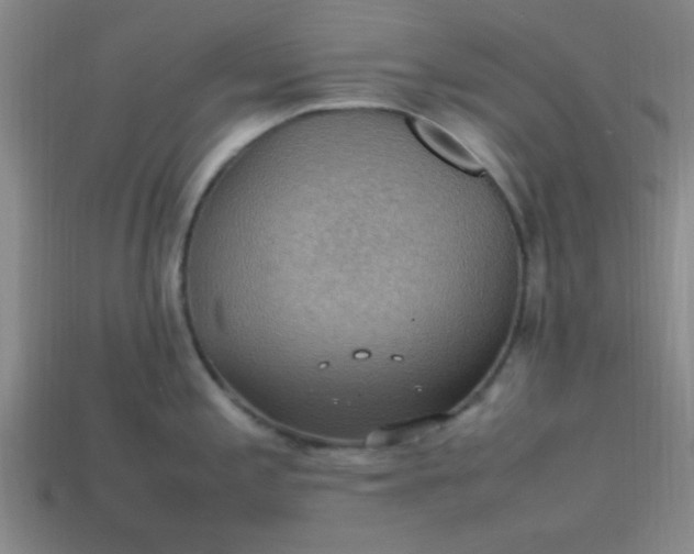 X0000113781197200910071217