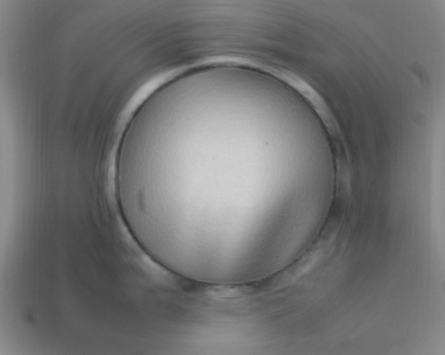 X0000113781199200910071217