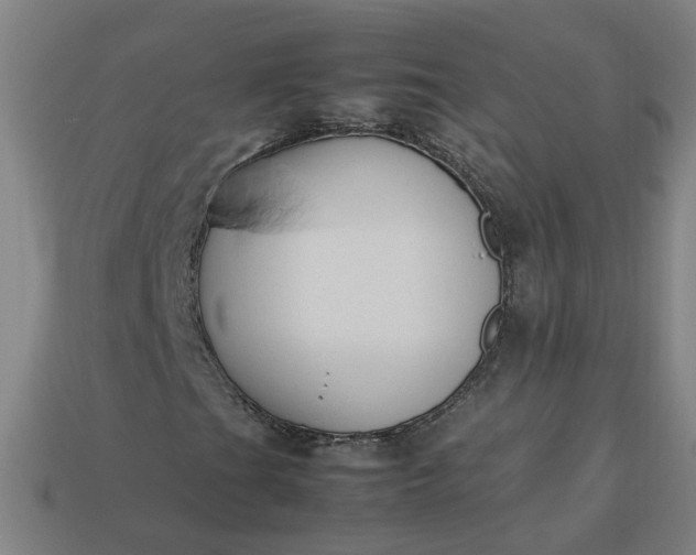 X0000113781201200910071217