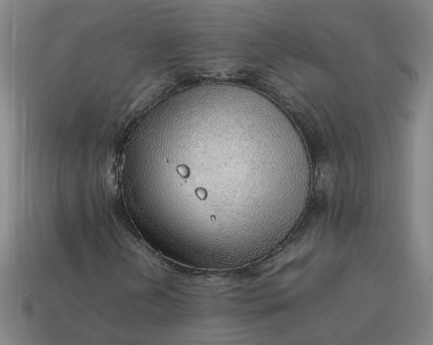 X0000113781202200910071217