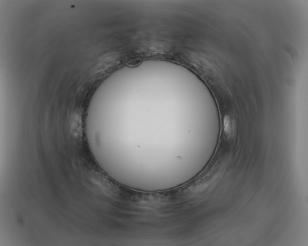 X0000113781203200910071217