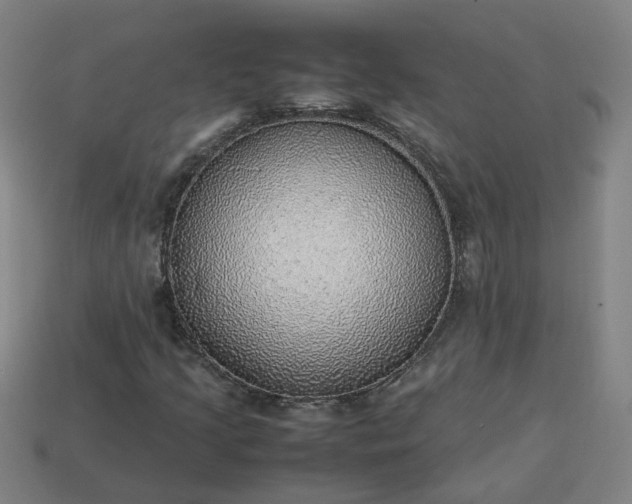 X0000113781205200910071217