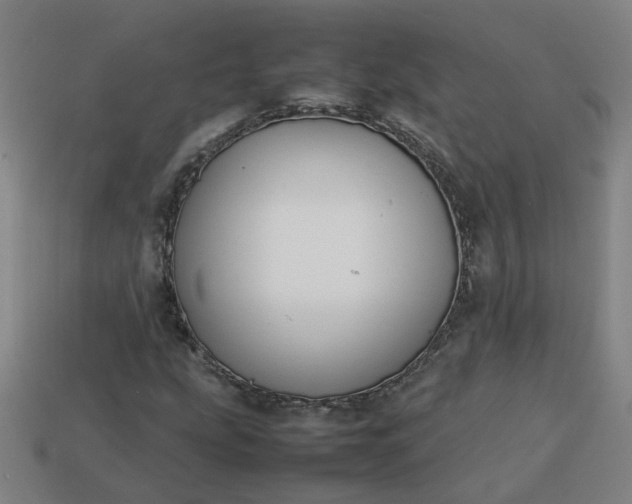 X0000113781207200910071217