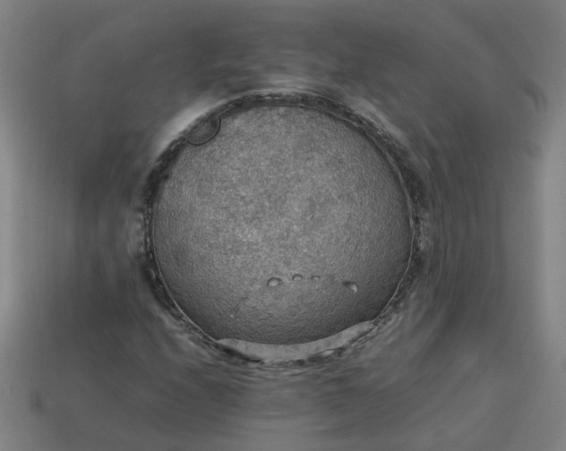 X0000113781208200910071217