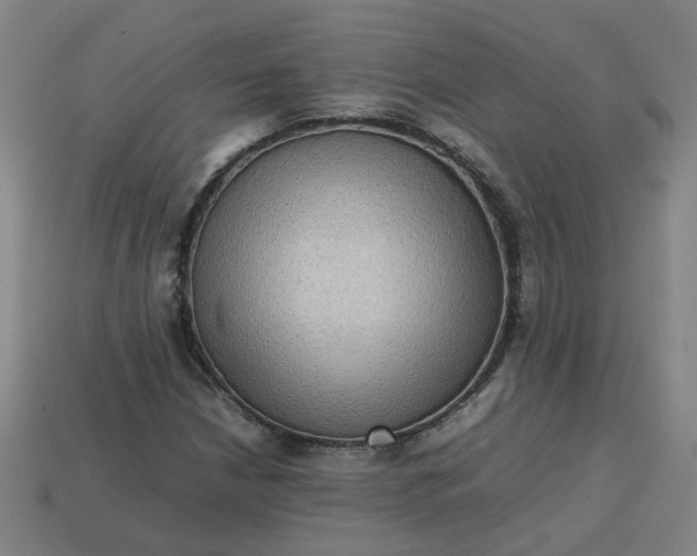 X0000113781210200910071217