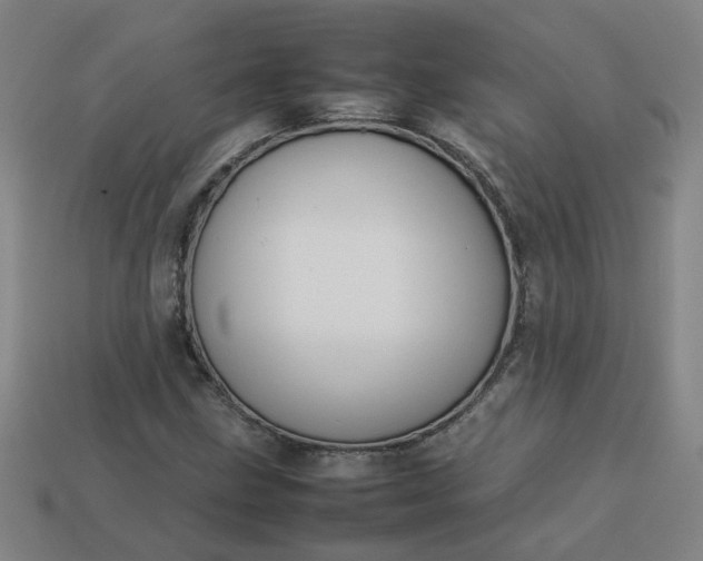 X0000113781211200910071217