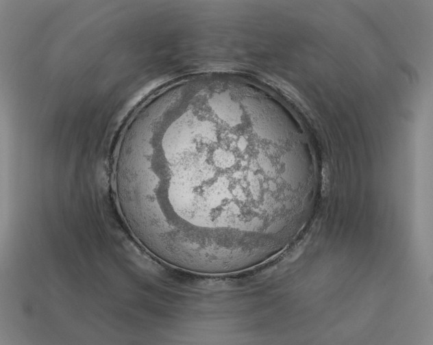 X0000113781212200910071217