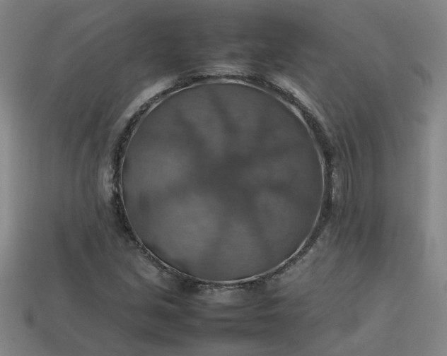 X0000113781213200910071217