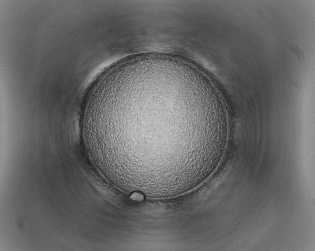 X0000113781214200910071217