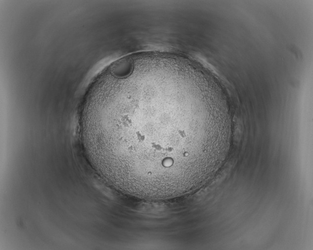 X0000113781215200910071217