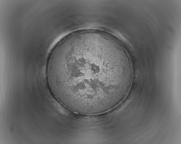 X0000113781216200910071217