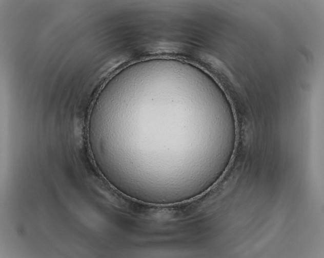 X0000113781217200910071217