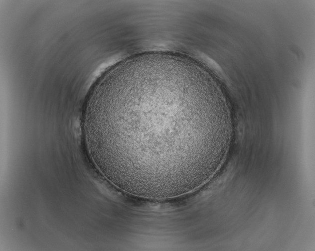 X0000113781218200910071217