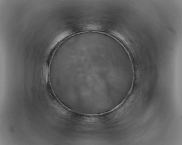 X0000113781219200910071217