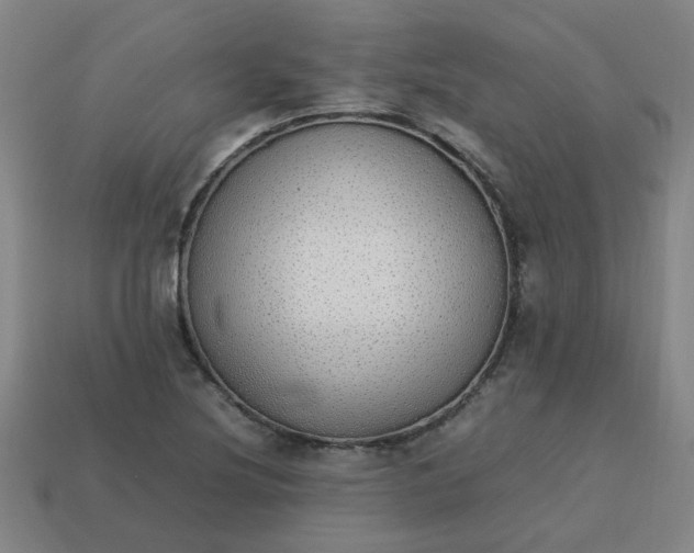 X0000113781220200910071217