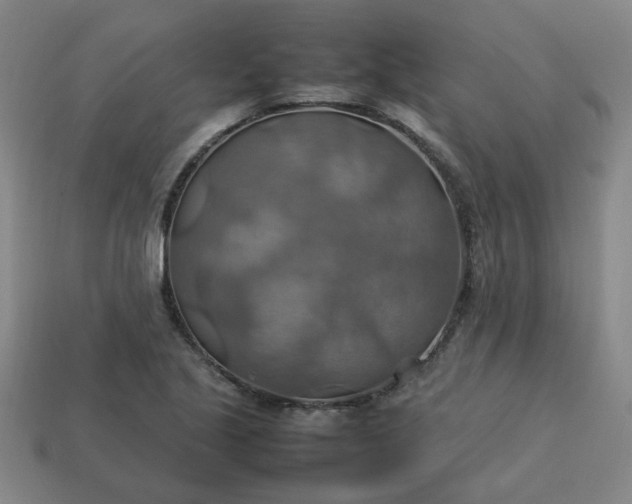 X0000113781221200910071217