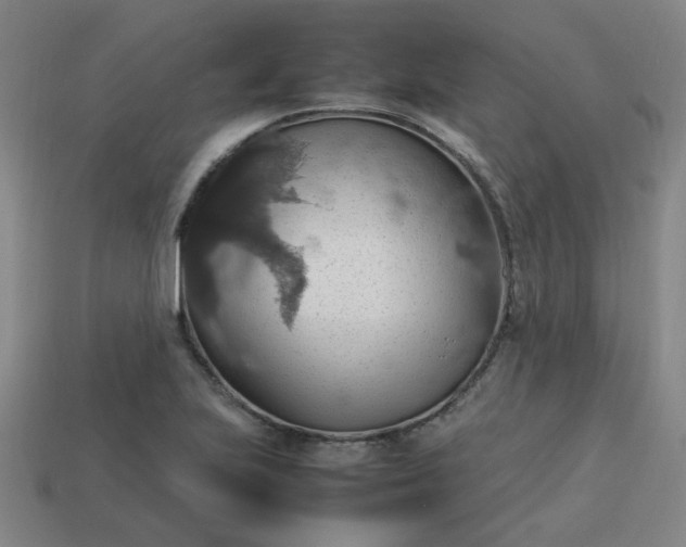 X0000113781223200910071217