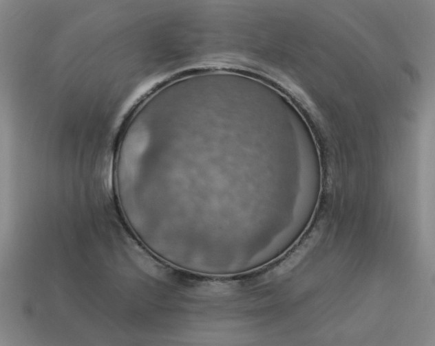 X0000113781224200910071217