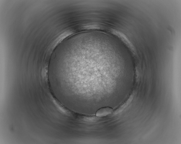 X0000113781225200910071217