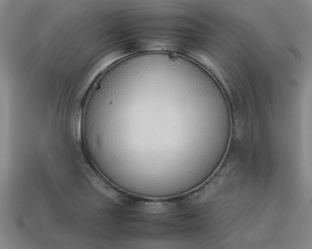 X0000113781227200910071217