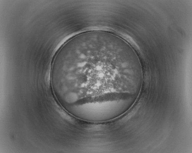 X0000113781228200910071217