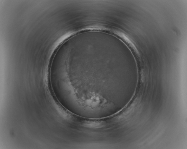 X0000113781229200910071217