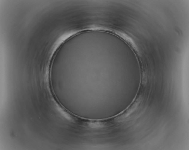 X0000113781231200910071217