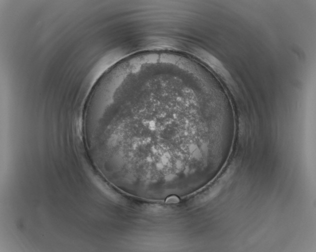 X0000113781234200910071217