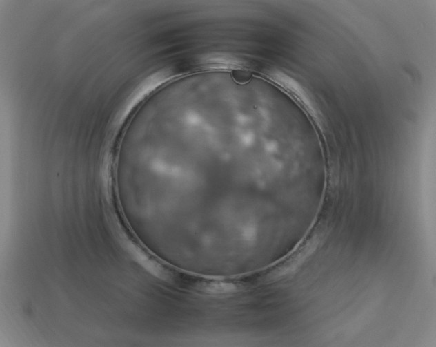 X0000113781235200910071217