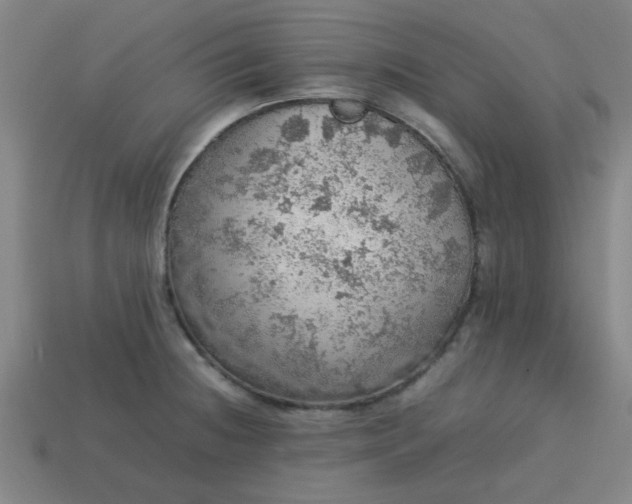 X0000113781236200910071217